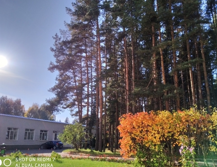 Санаторий «Золотой Колос» Ярославская область