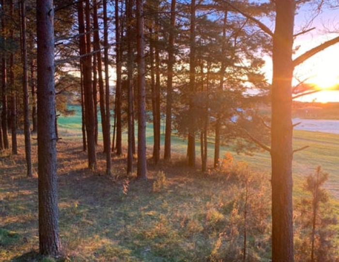 Санаторий «Золотой Колос» Ярославская область