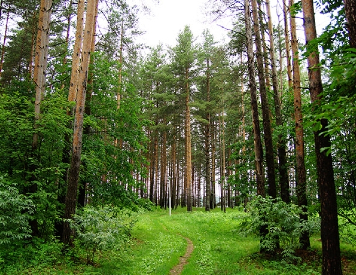 Услуги и развлечения - Санаторий «Золотой Колос» Ярославская область