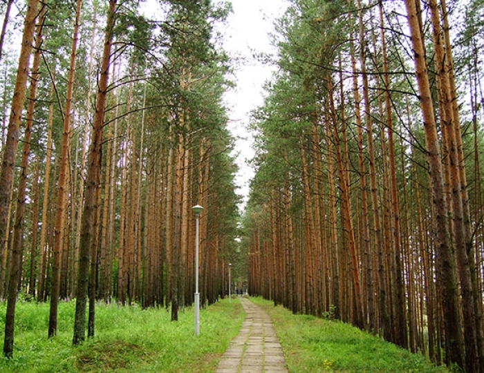 Услуги и развлечения - Санаторий «Золотой Колос» Ярославская область